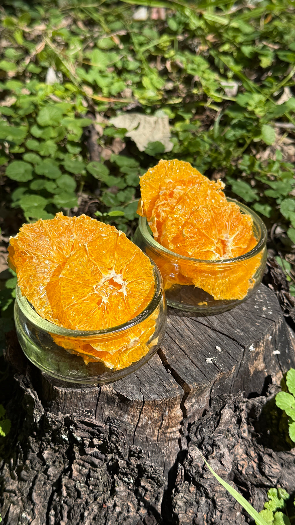 Orange Strips