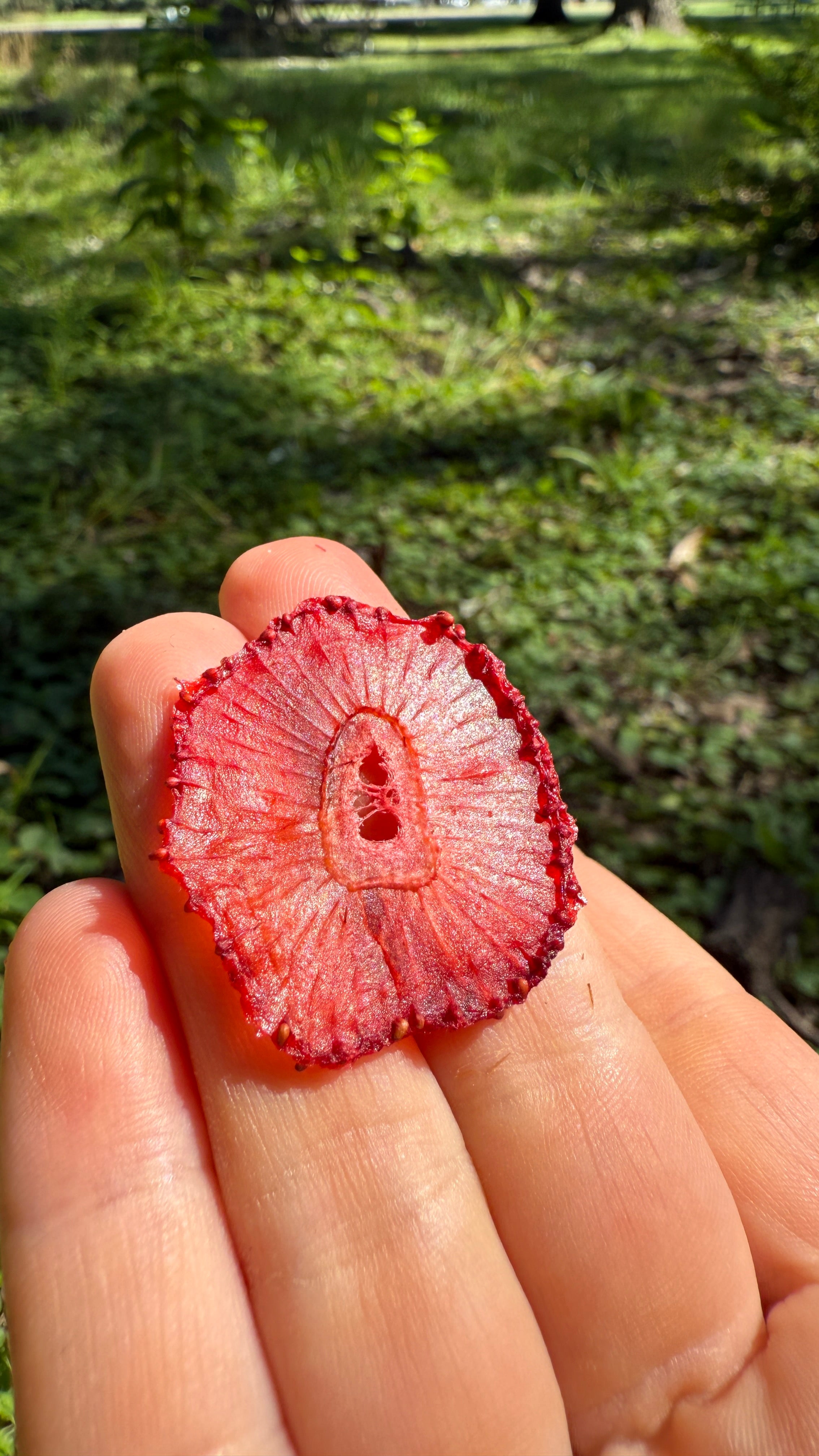 Strawberry Slices