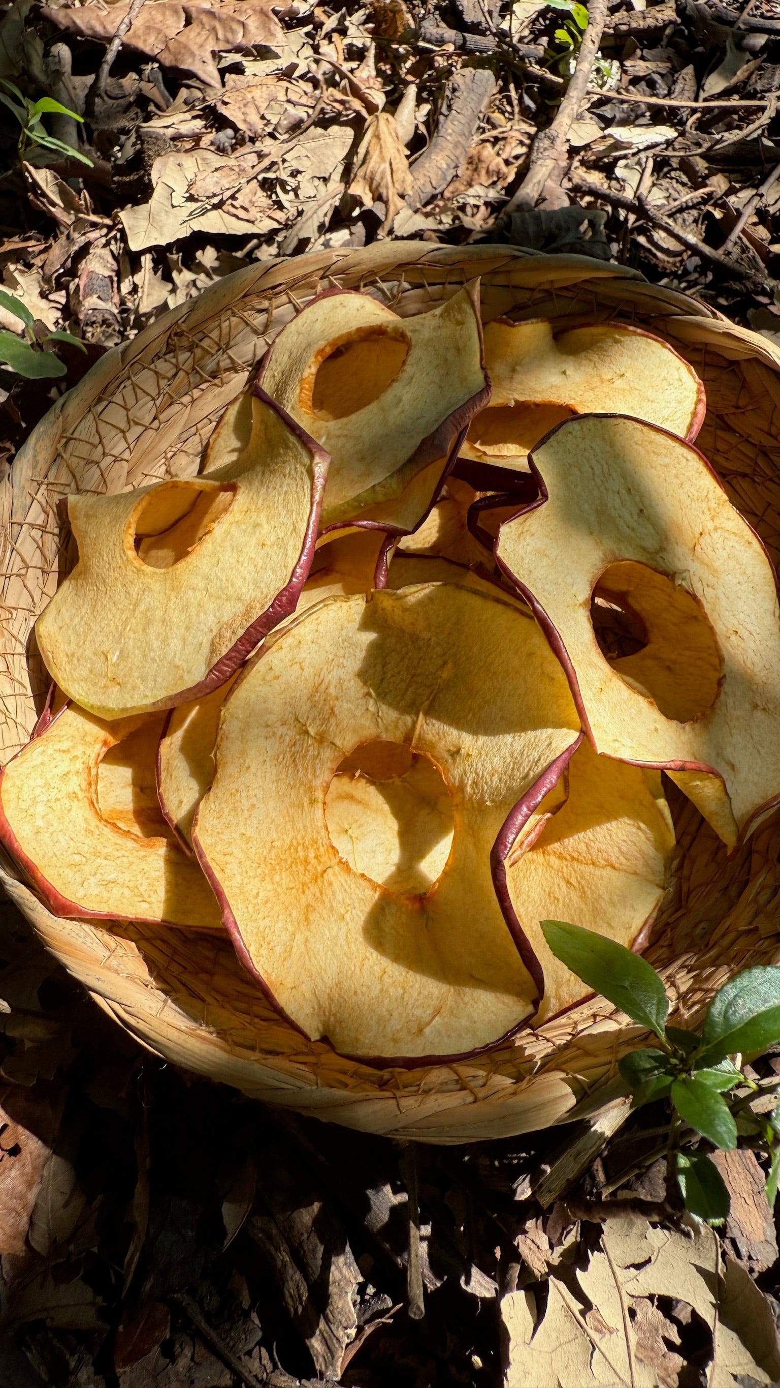 Apple Slices