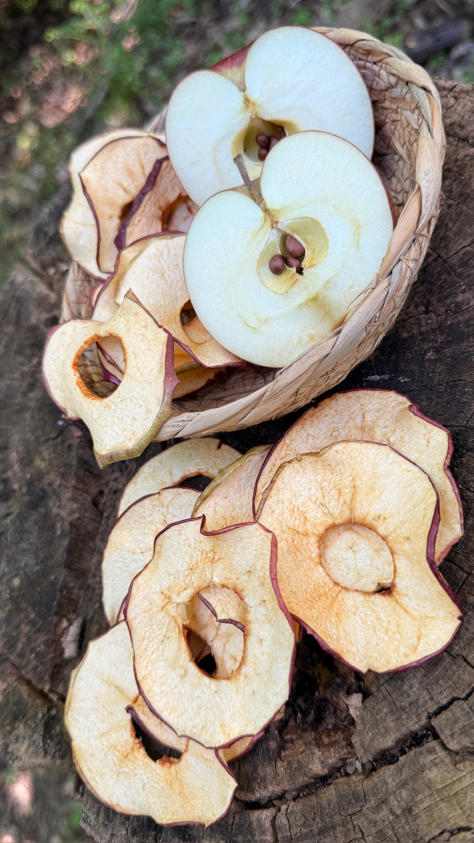 Apple Slices