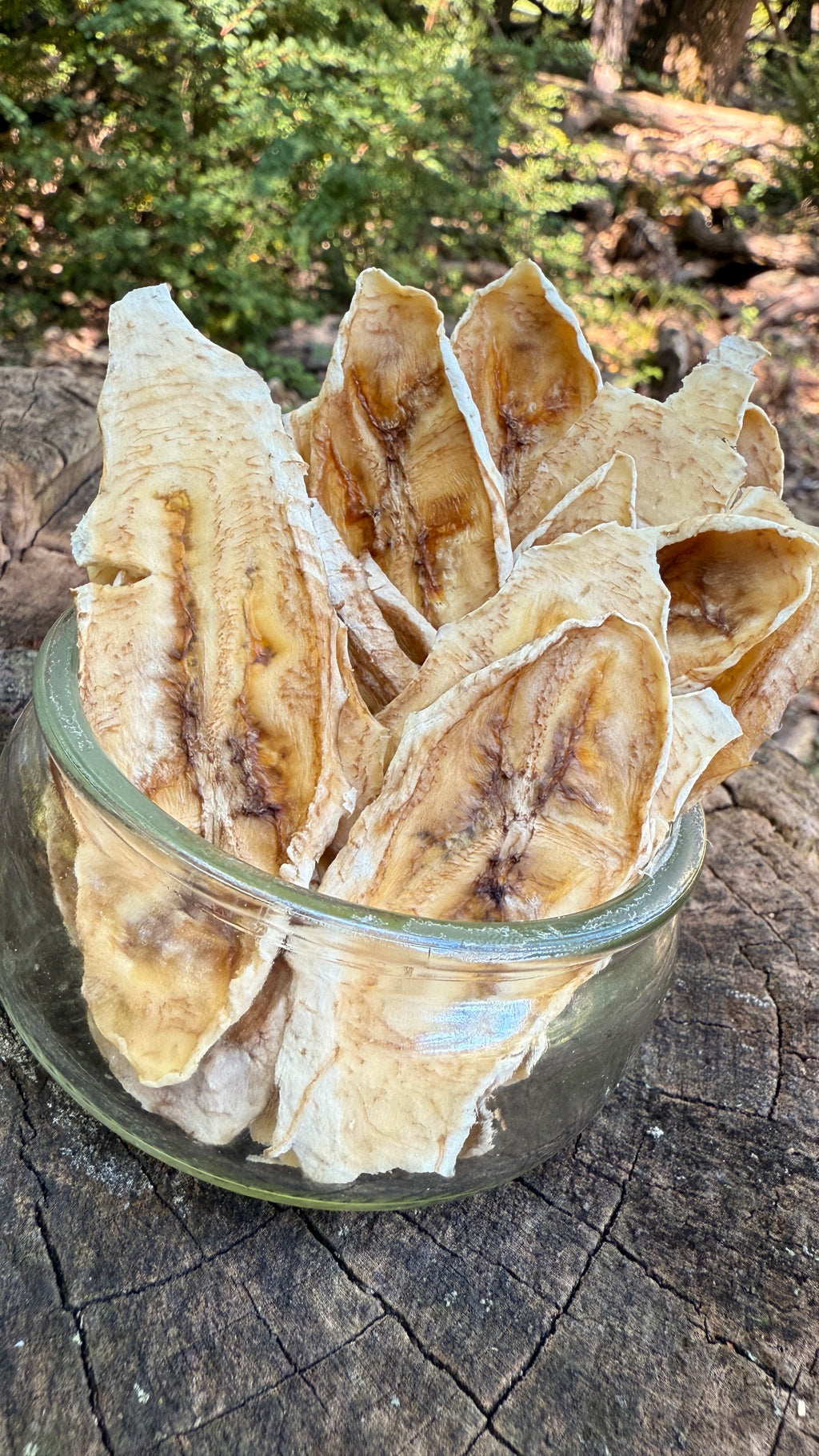 Banana Slices
