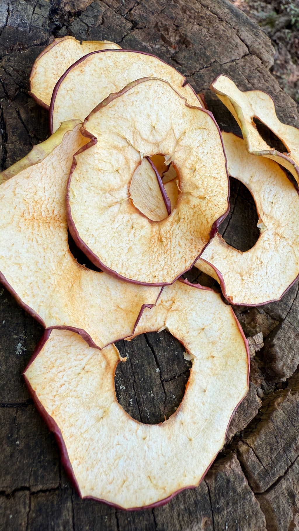 Apple Slices