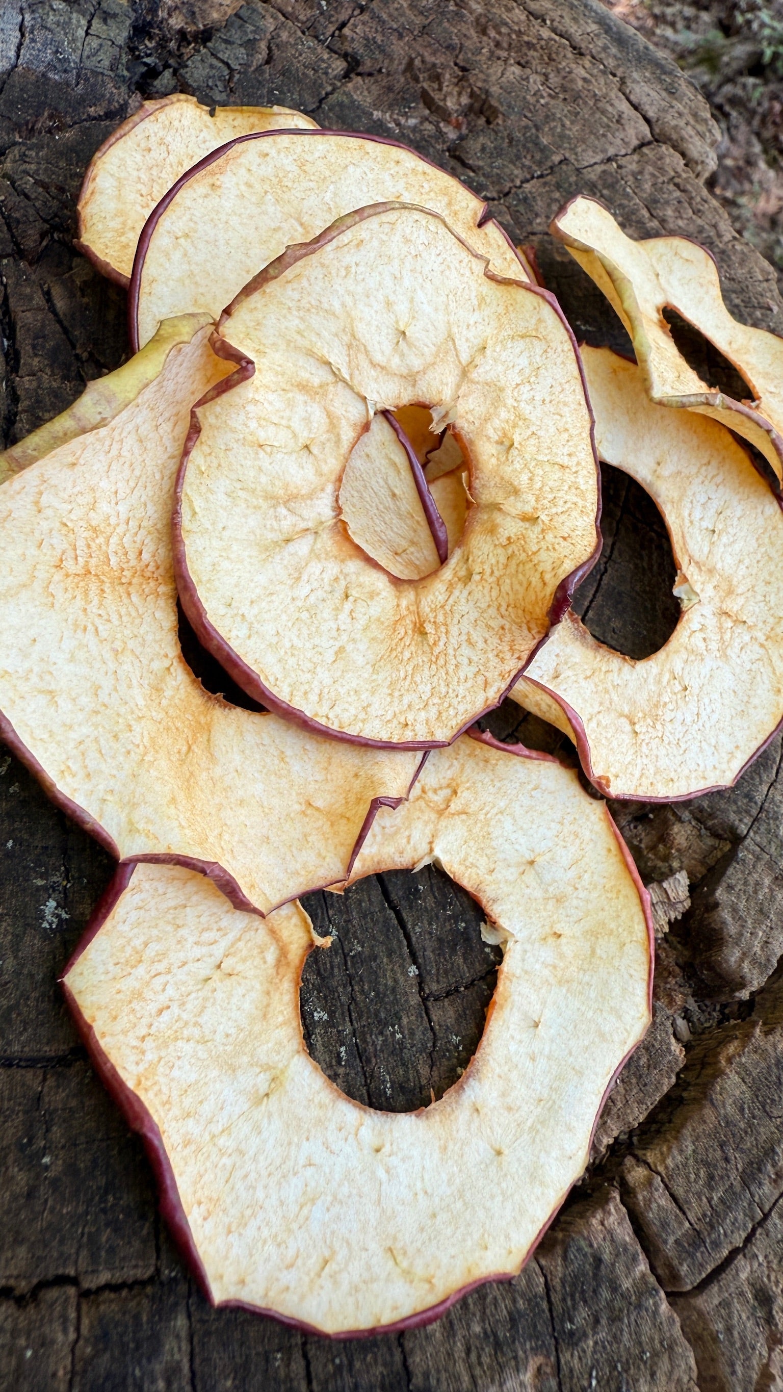 Apple Slices
