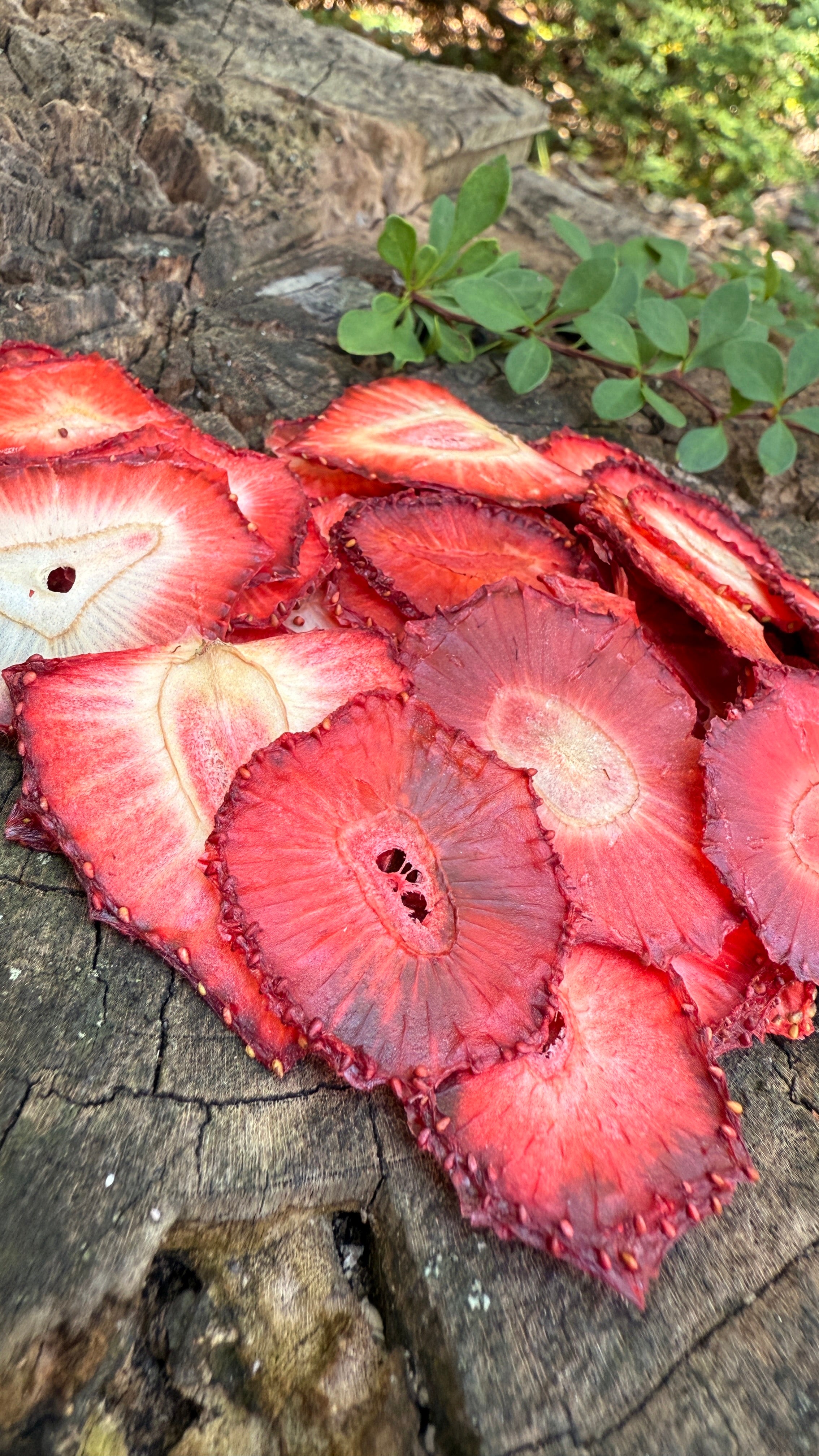 Strawberry Slices
