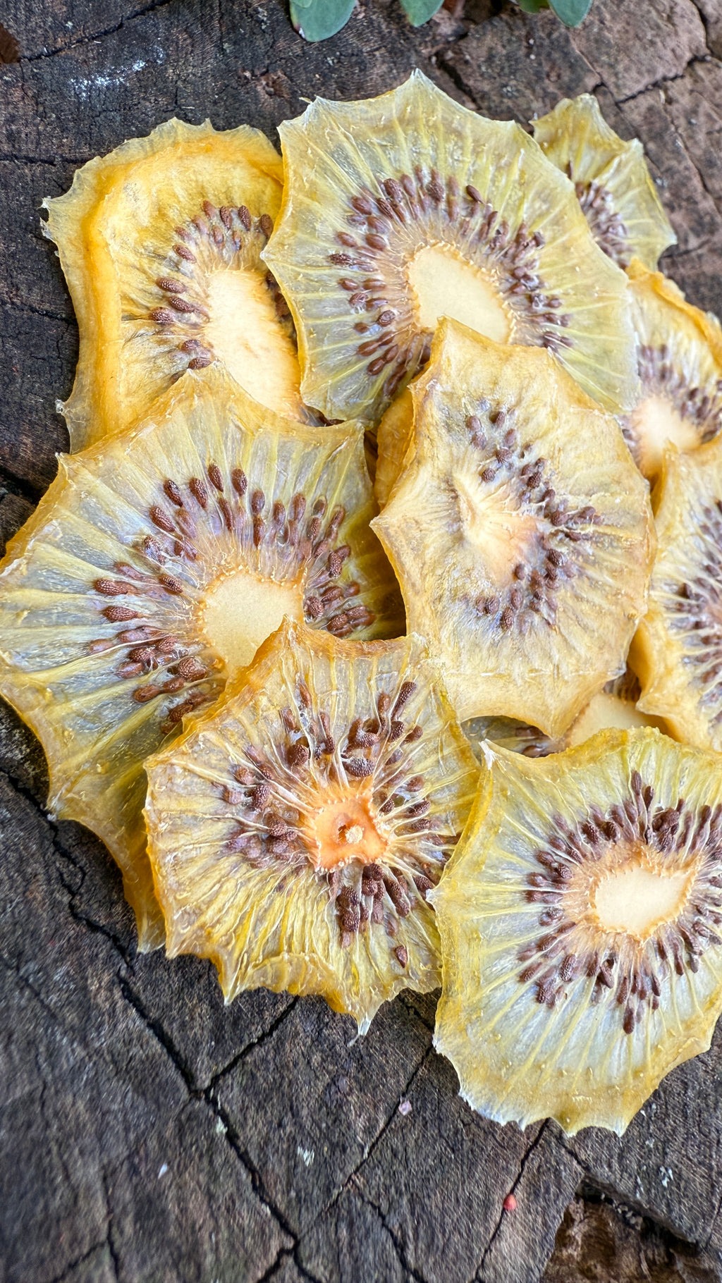 Kiwi Slices