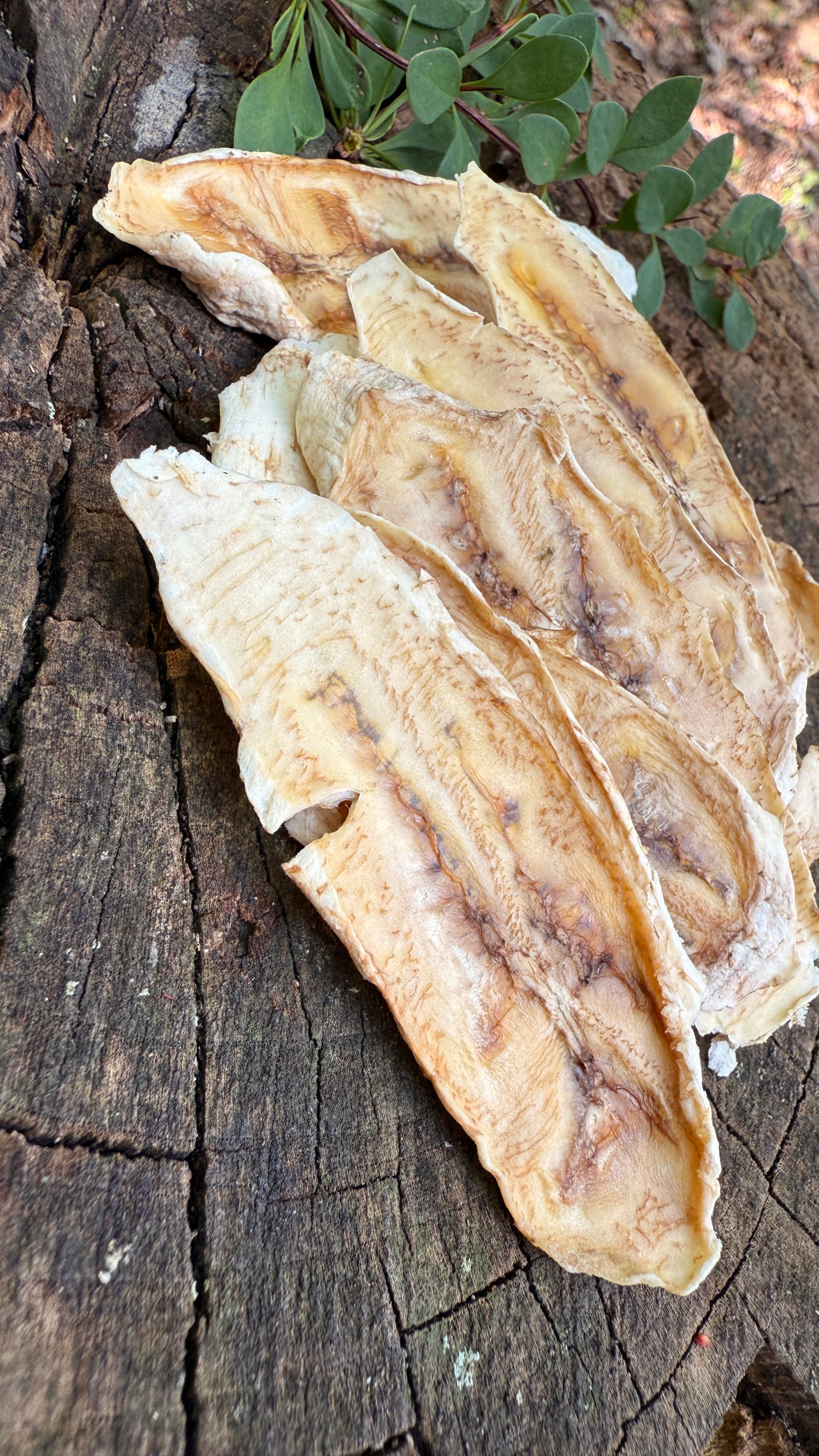 Banana Slices